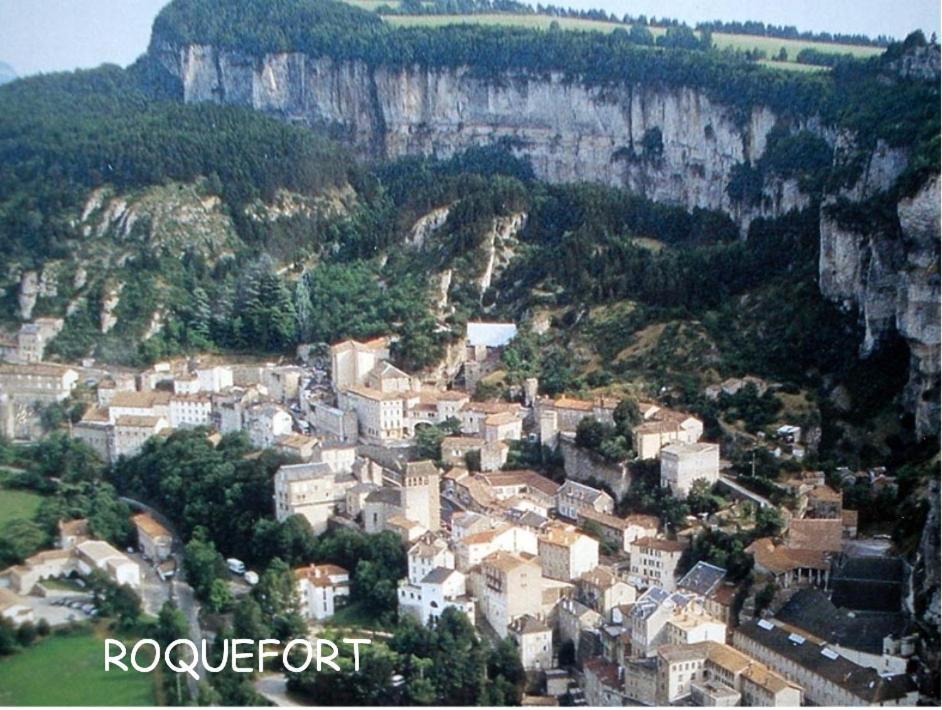 فيلا Les Palmiers Des Causses Saint-Rome-de-Tarn المظهر الخارجي الصورة