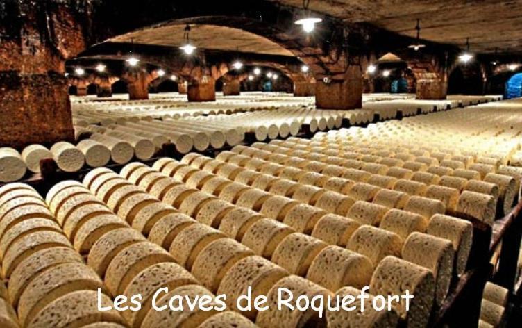 فيلا Les Palmiers Des Causses Saint-Rome-de-Tarn المظهر الخارجي الصورة