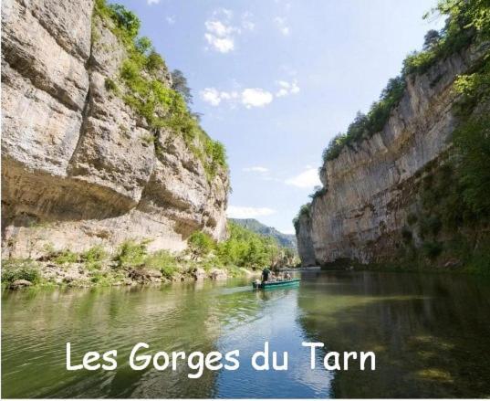 فيلا Les Palmiers Des Causses Saint-Rome-de-Tarn المظهر الخارجي الصورة
