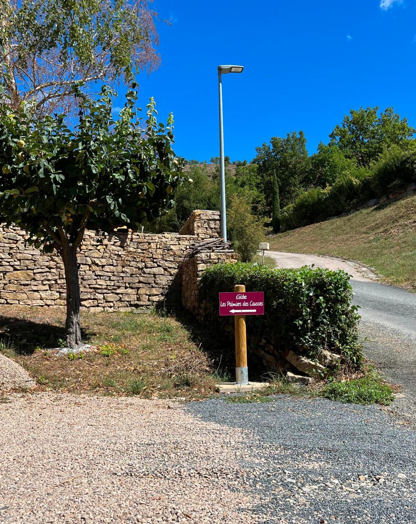 فيلا Les Palmiers Des Causses Saint-Rome-de-Tarn المظهر الخارجي الصورة